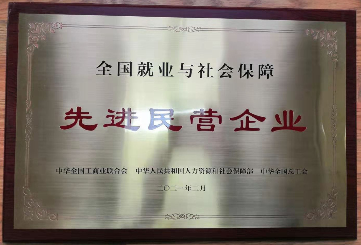 全國(guó)就業(yè)與社會(huì)保障先進(jìn)民營(yíng)企業(yè)